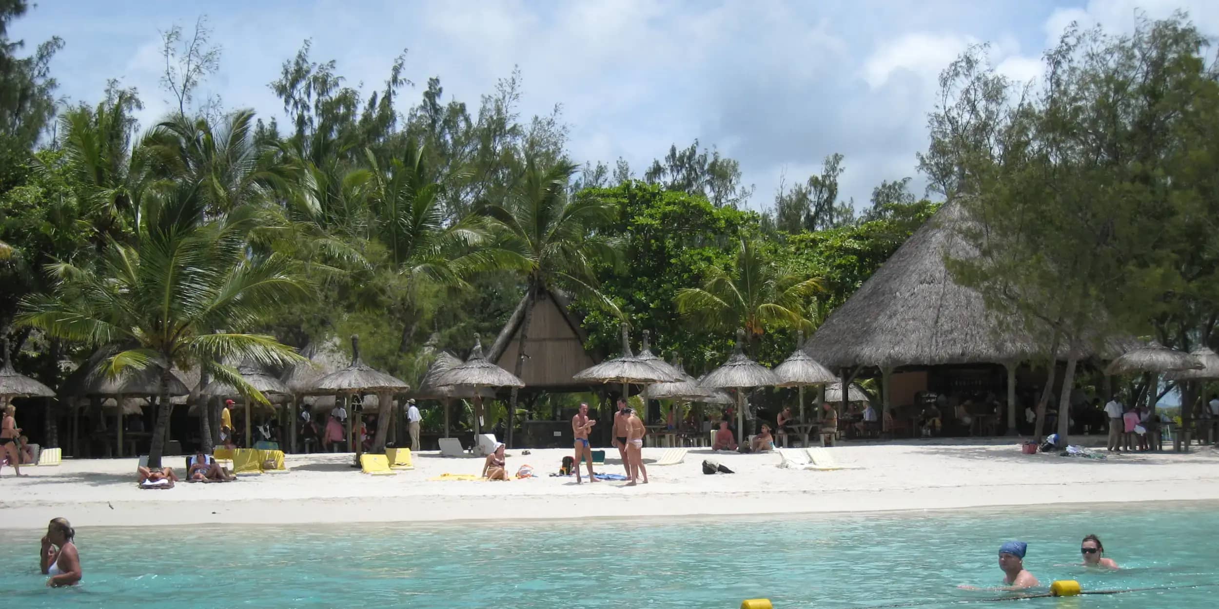 Scenic Drive Through Plantations