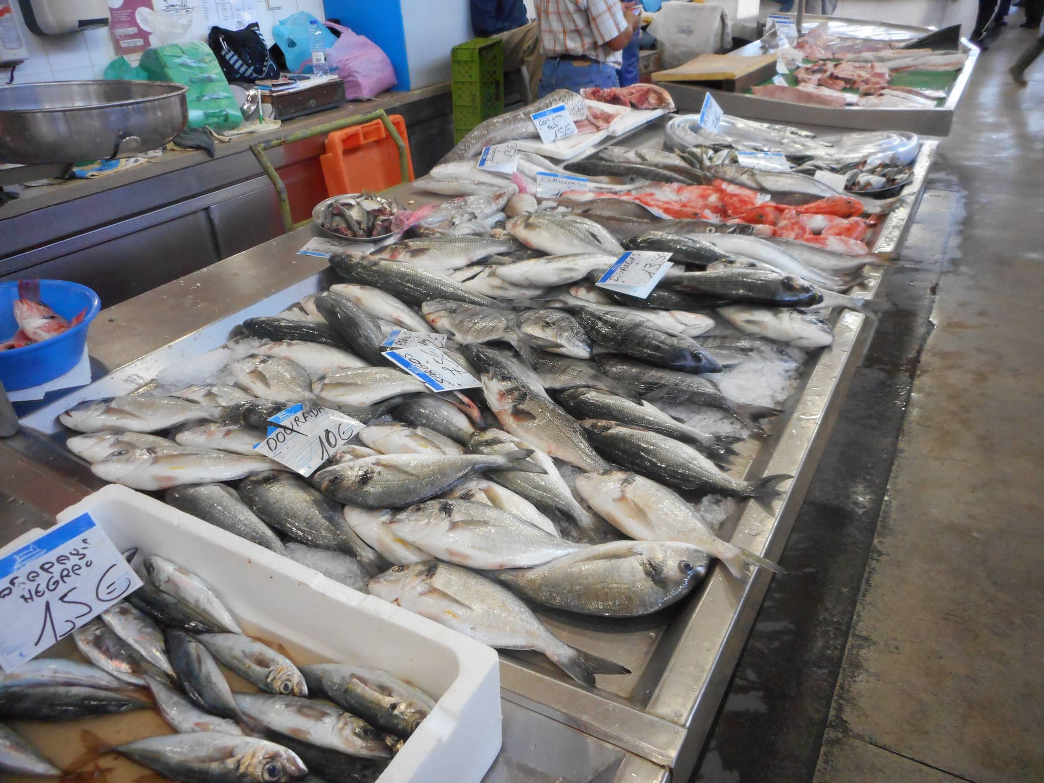 Fresh Seafood Delights