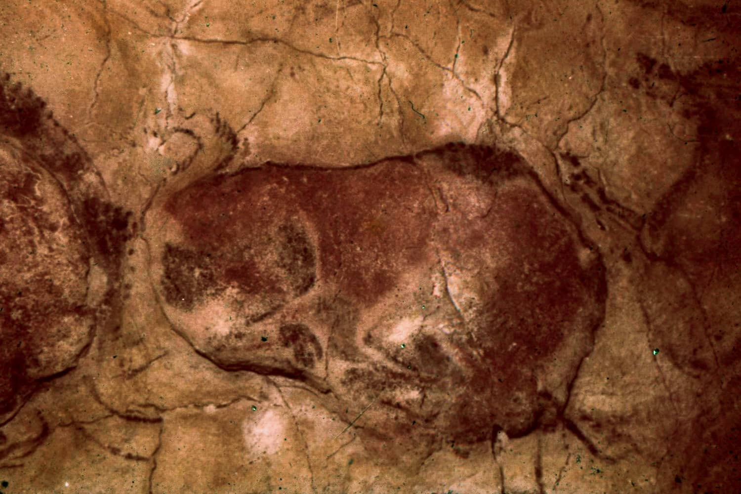 Cave Art Replicas