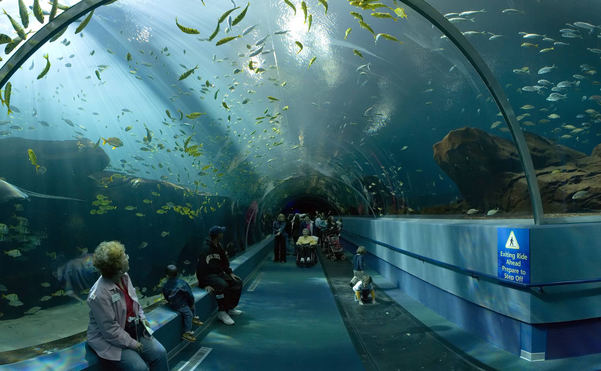 Giant Ocean Tunnel