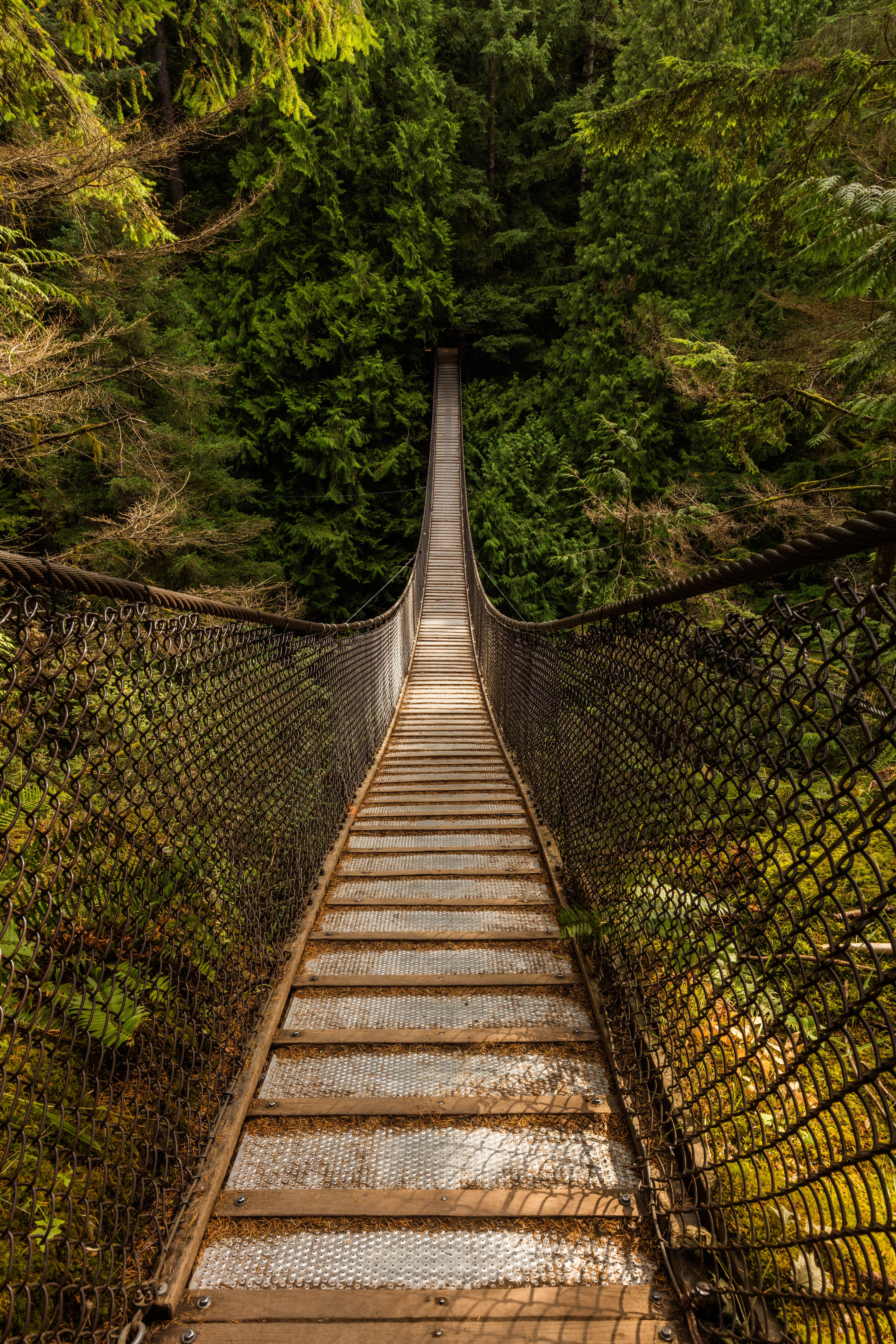 Lynn Valley Suspension Bridge