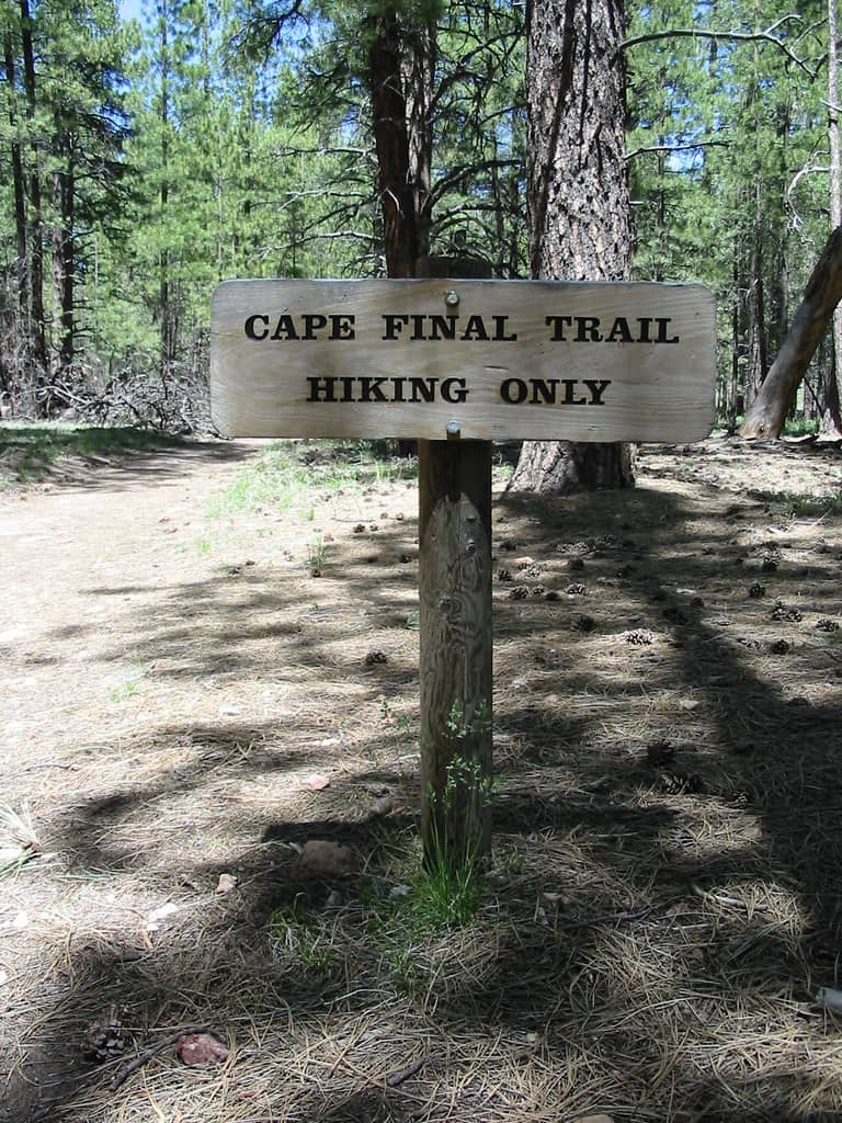 Gentle Forest Hike