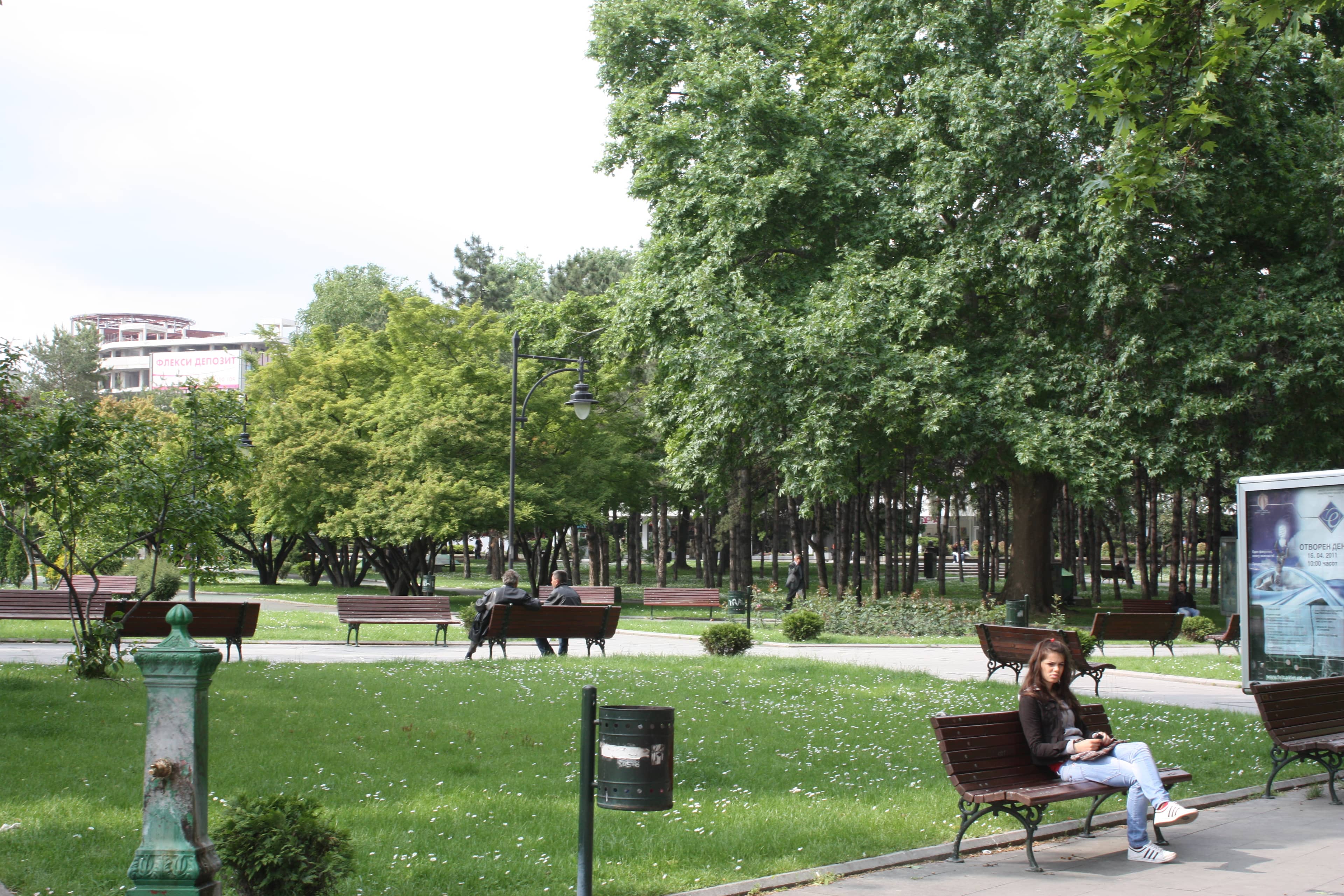 Green Oasis in the City