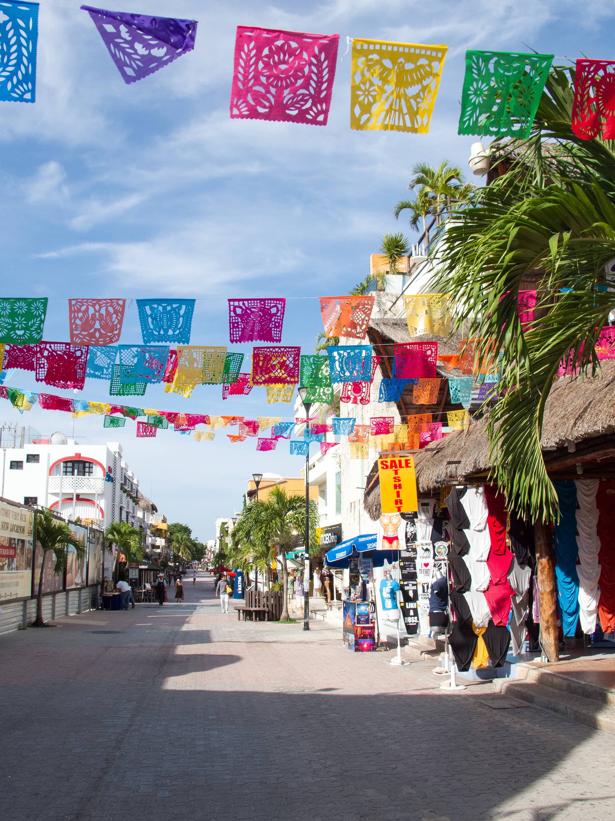 Proximity to Quinta Avenida