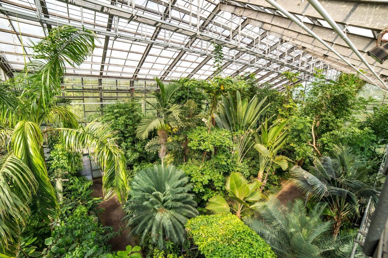 Native Danish Plant Gardens