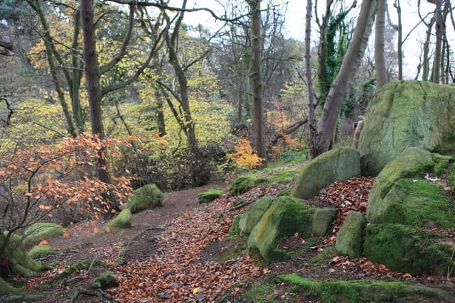 Woodland Trails