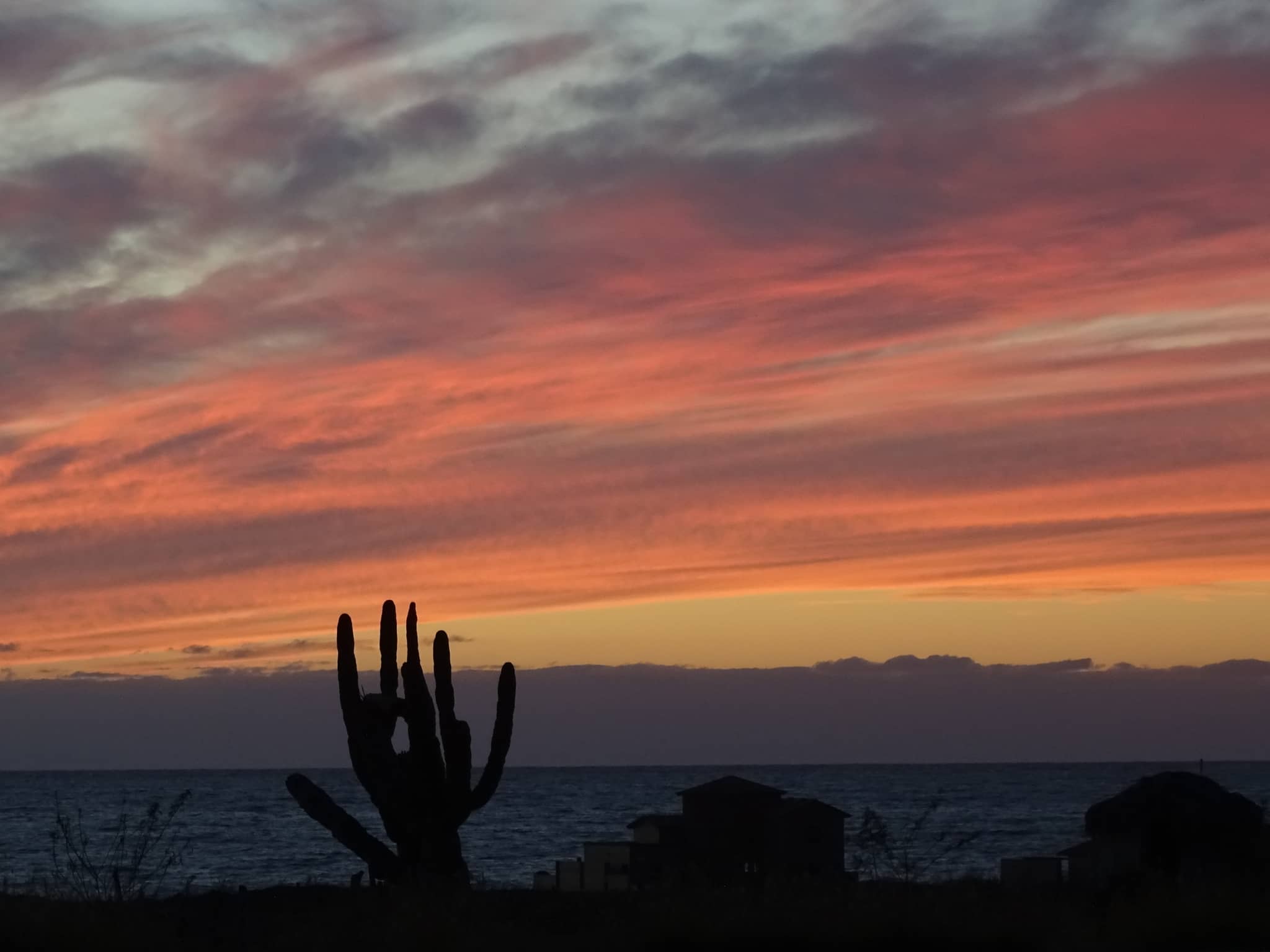 Sunset Spectacle