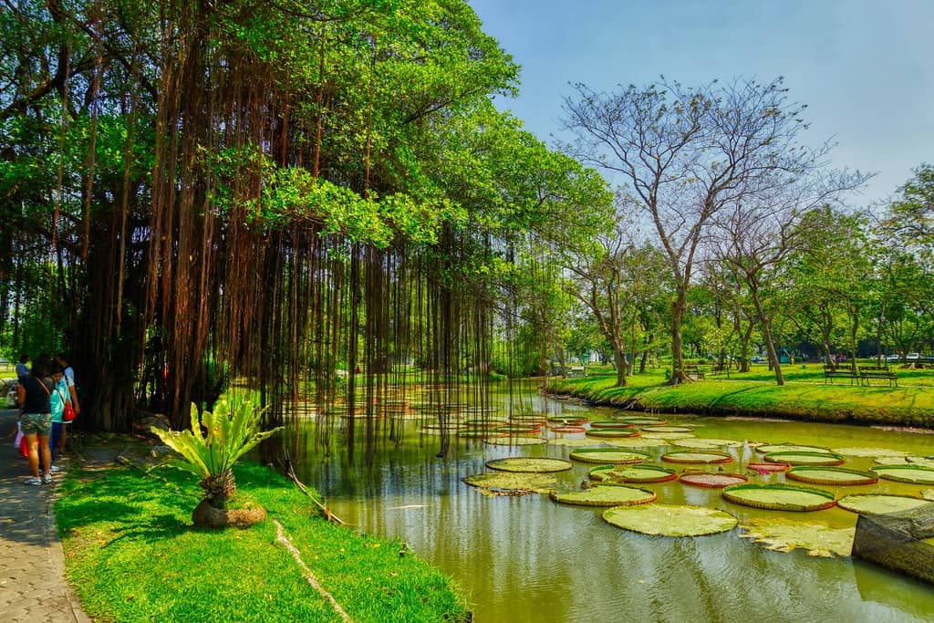 The Lake and Water Features