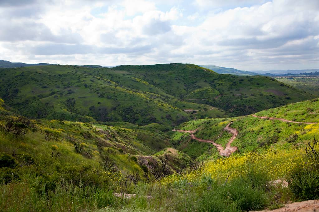 Mountain Vistas