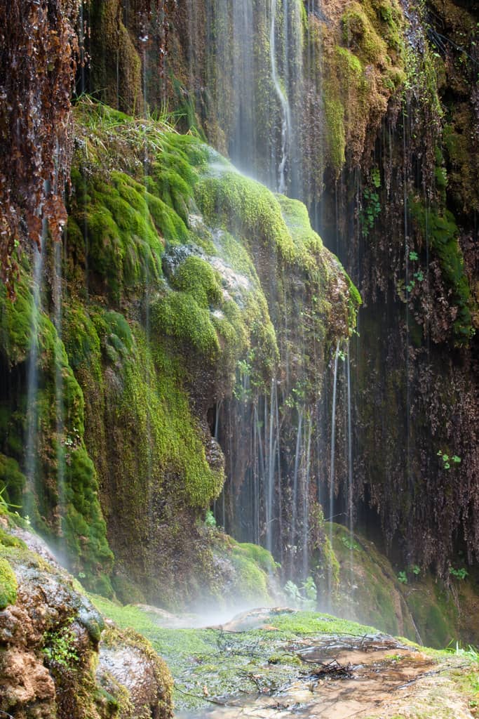 Waterfall Trail Oasis