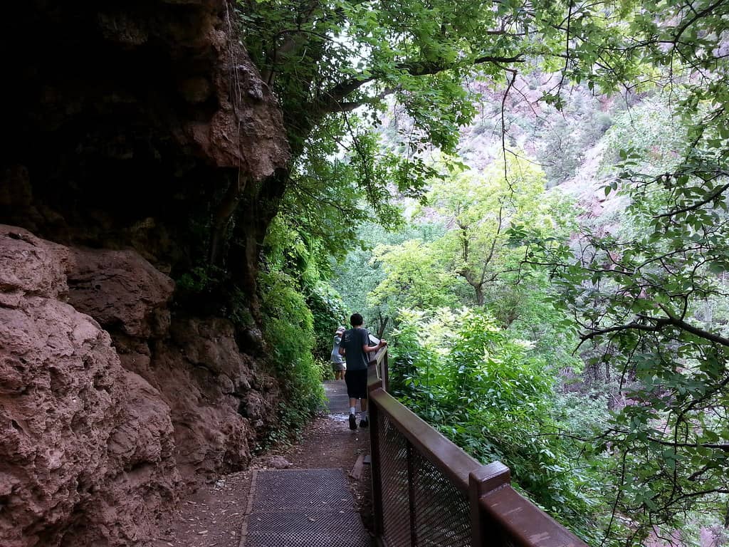 Exploring Under the Bridge