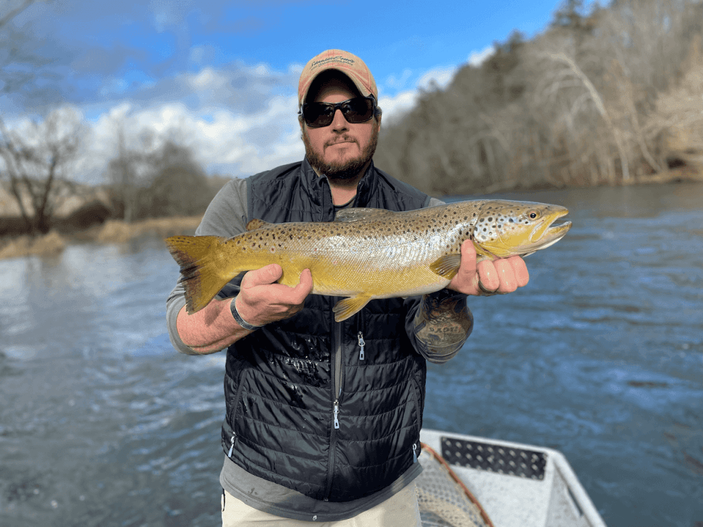 Wildlife Spotting Opportunities