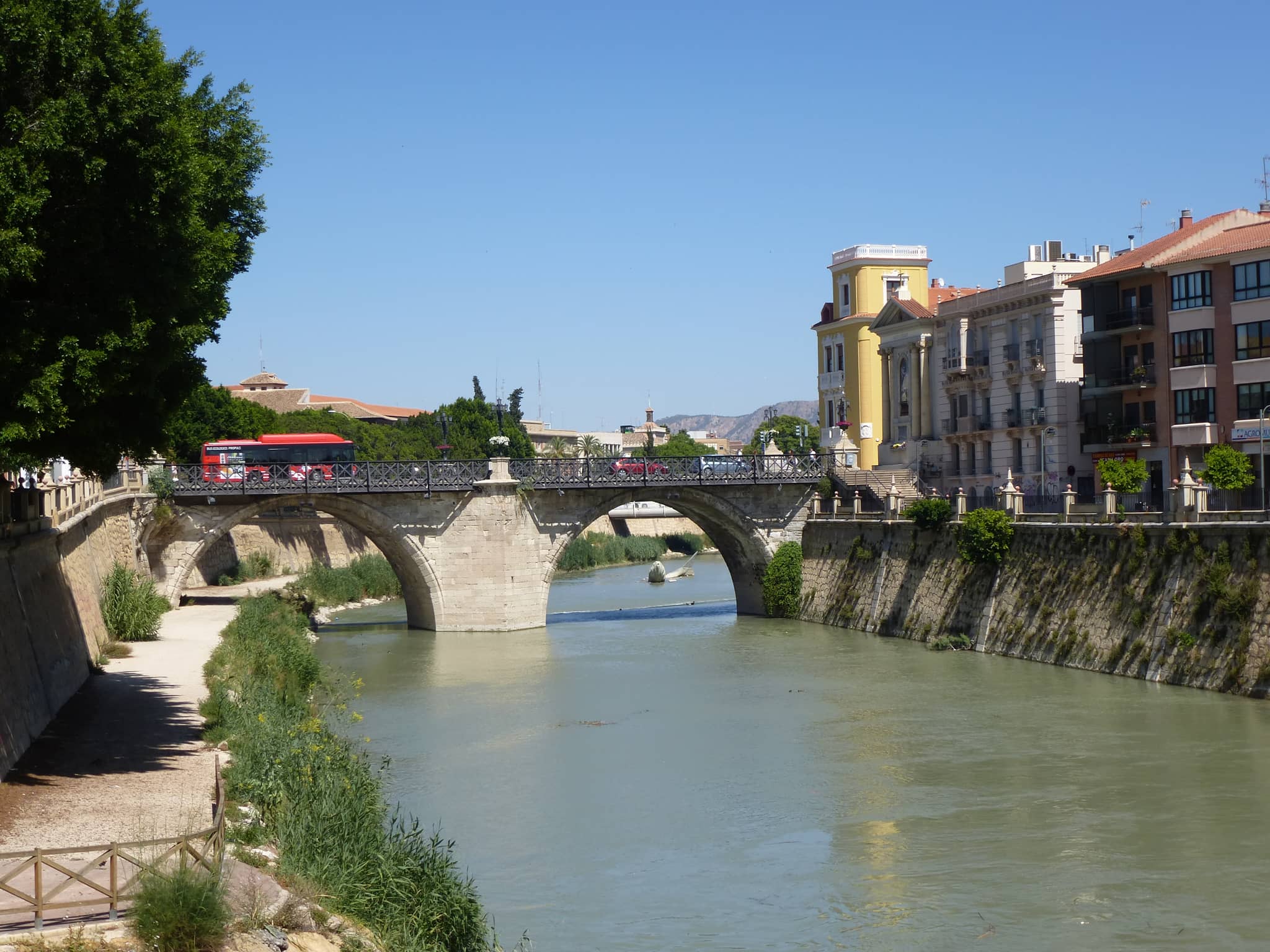 River Segura Views