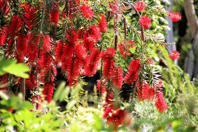 Panoramic Mountain Views