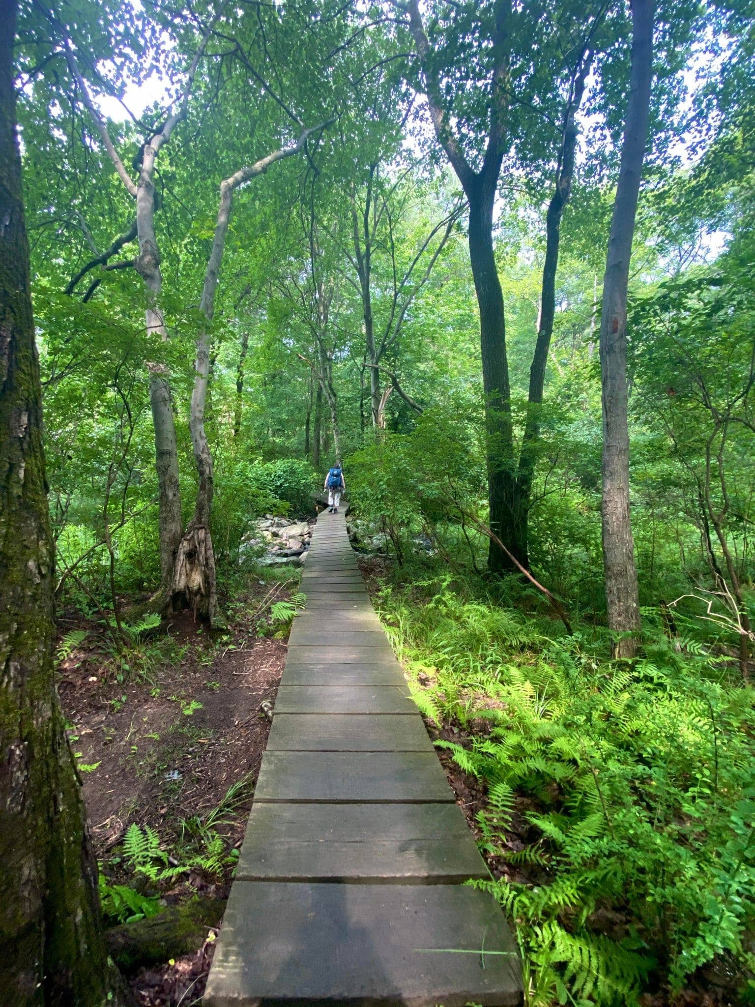 Walking Trails