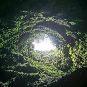 Nature Reserve Trails