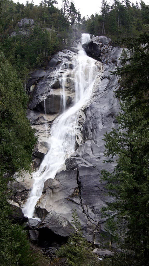 Scenic Trail Through Old-Growth Forest