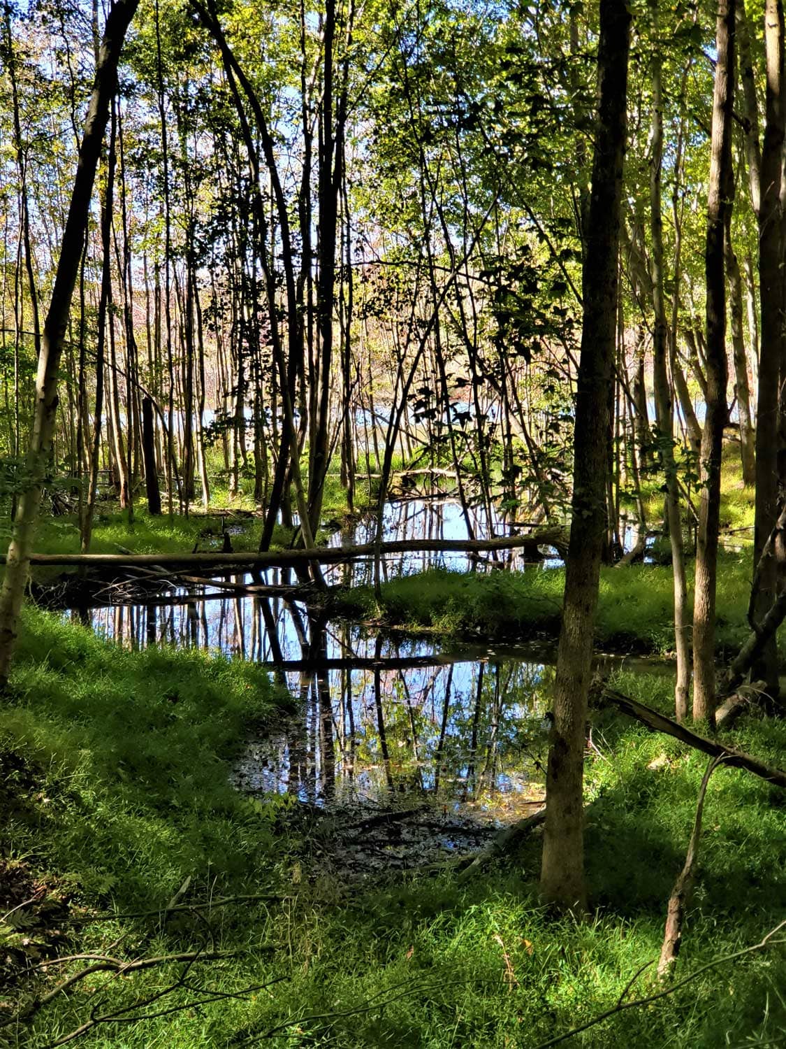 Woodland & Prairie Trails