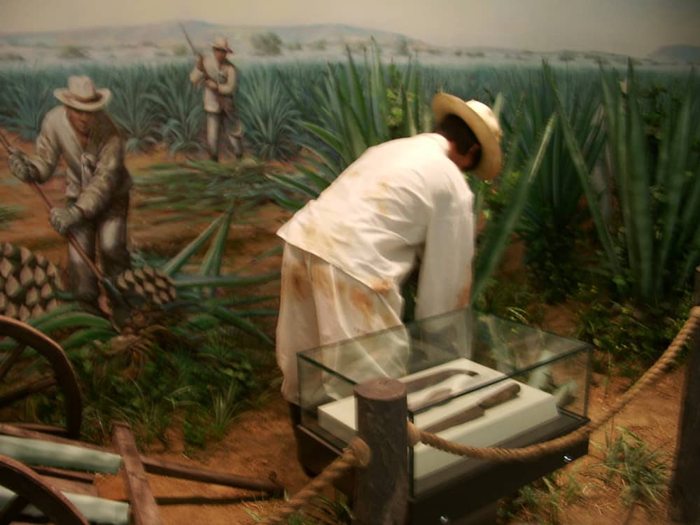 Korean Contributions Abroad