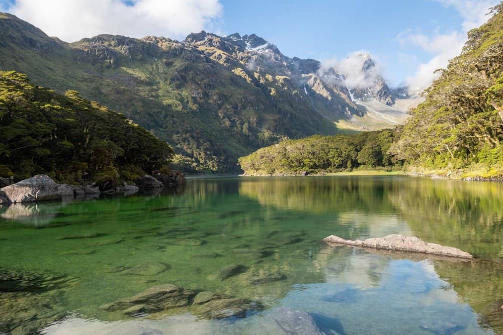 Forest and Mountain Scenery