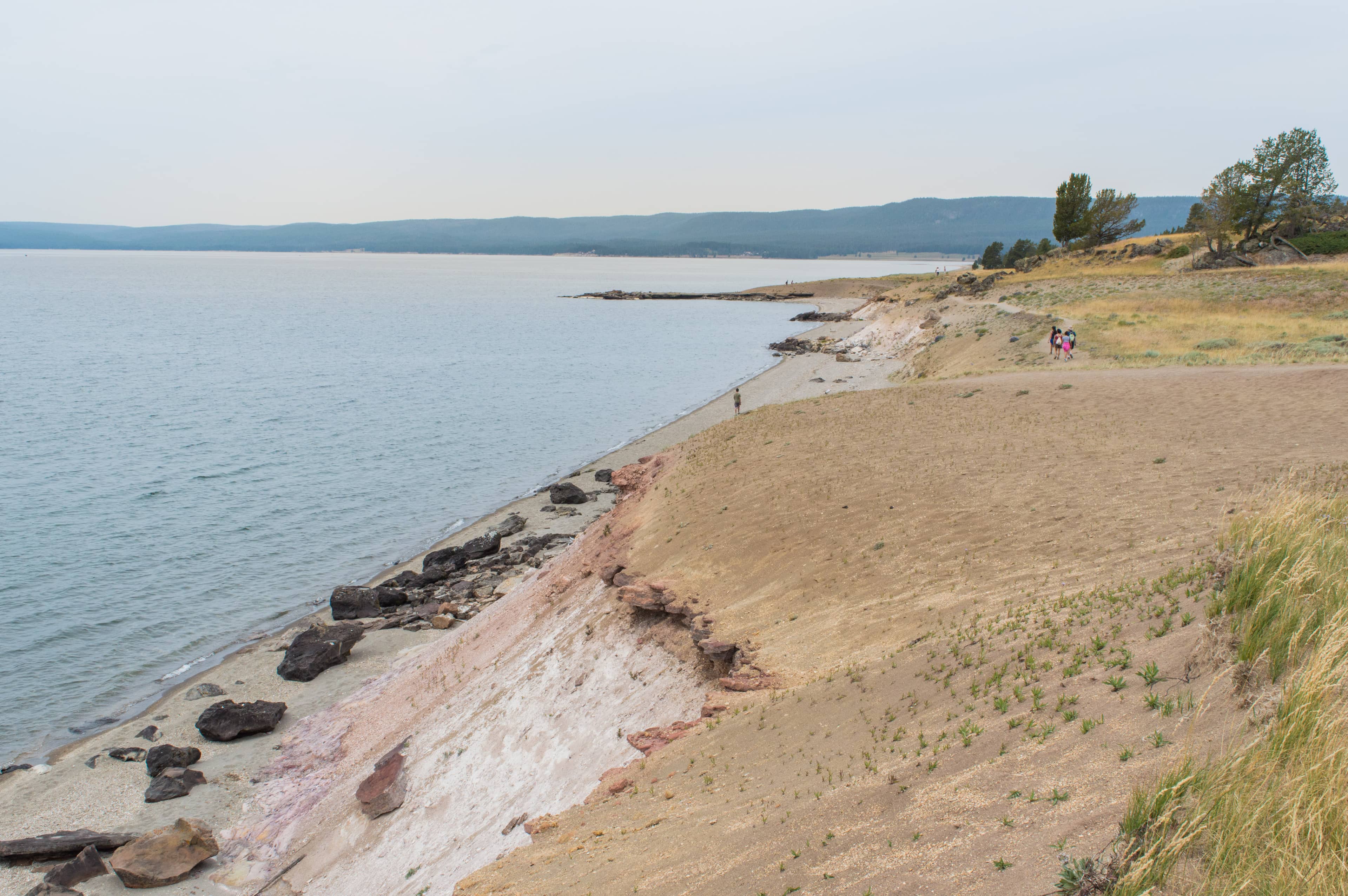 Yellowstone Lake Shoreline