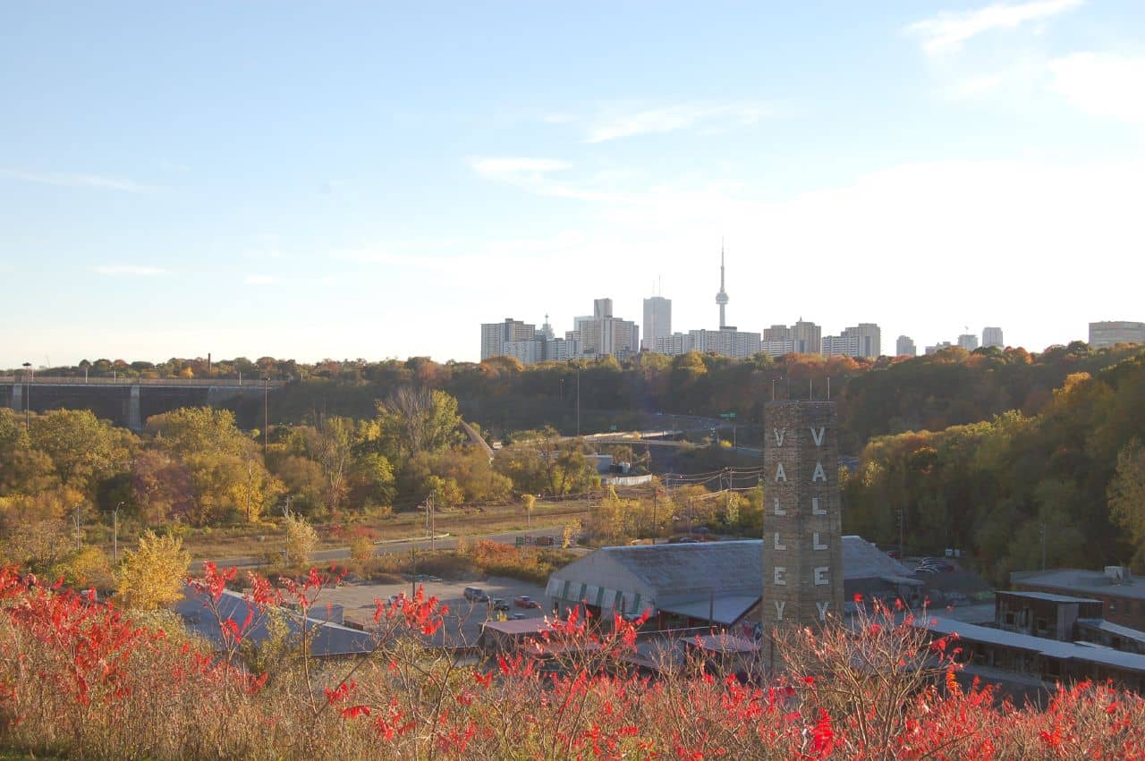 Toronto Skyline Views