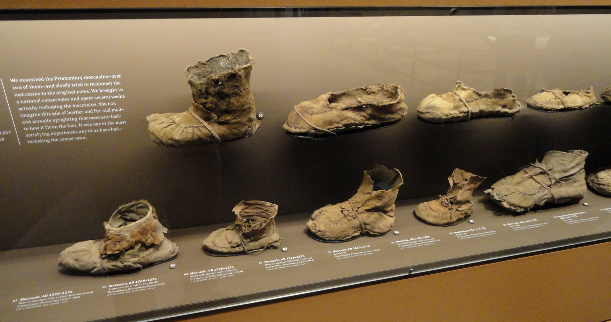 Himalayan Exhibit