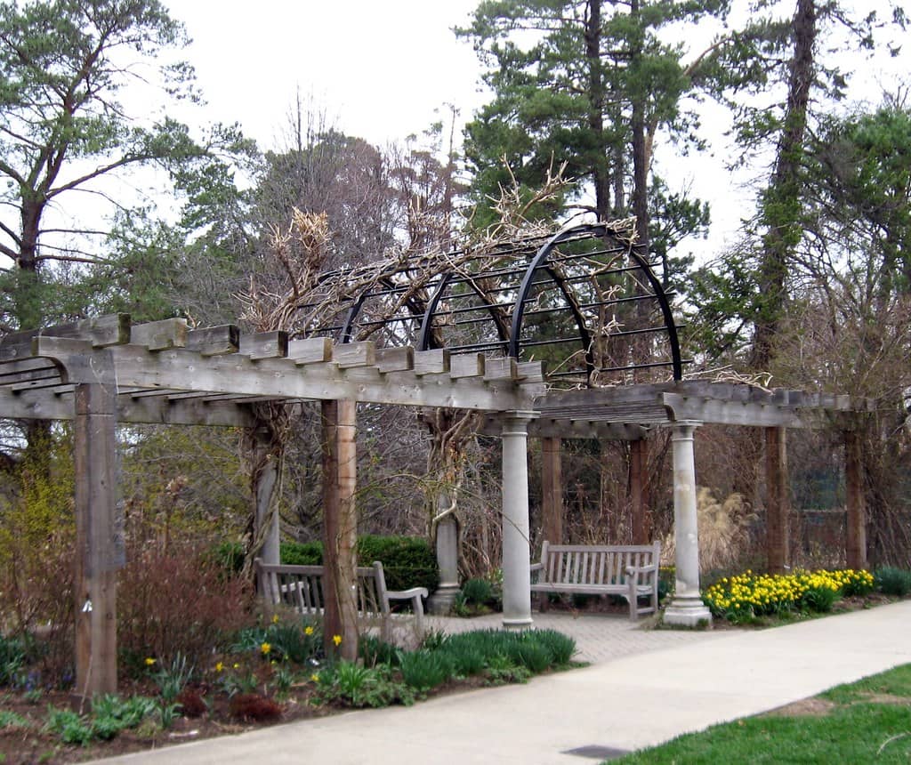 Landscaped Gardens