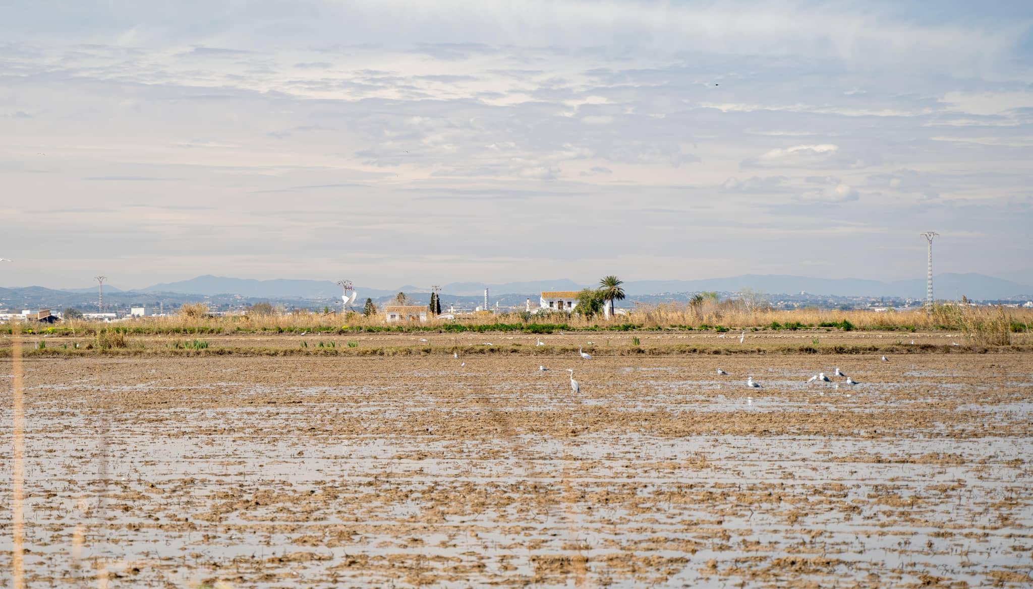 Birdwatching Haven