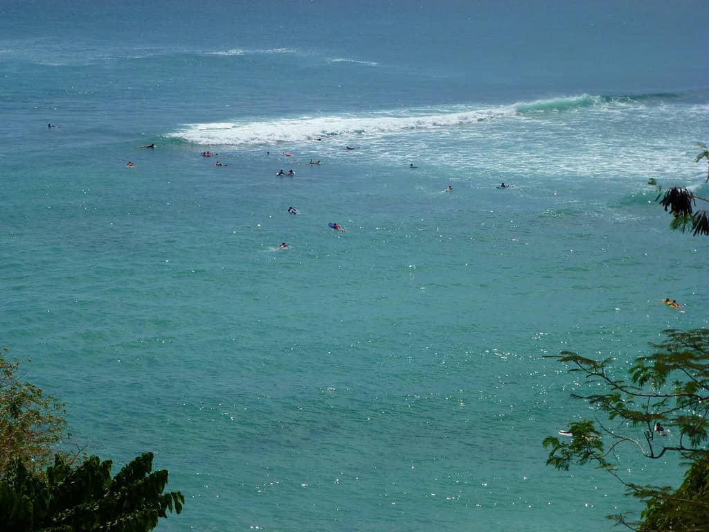 Surfer's Paradise