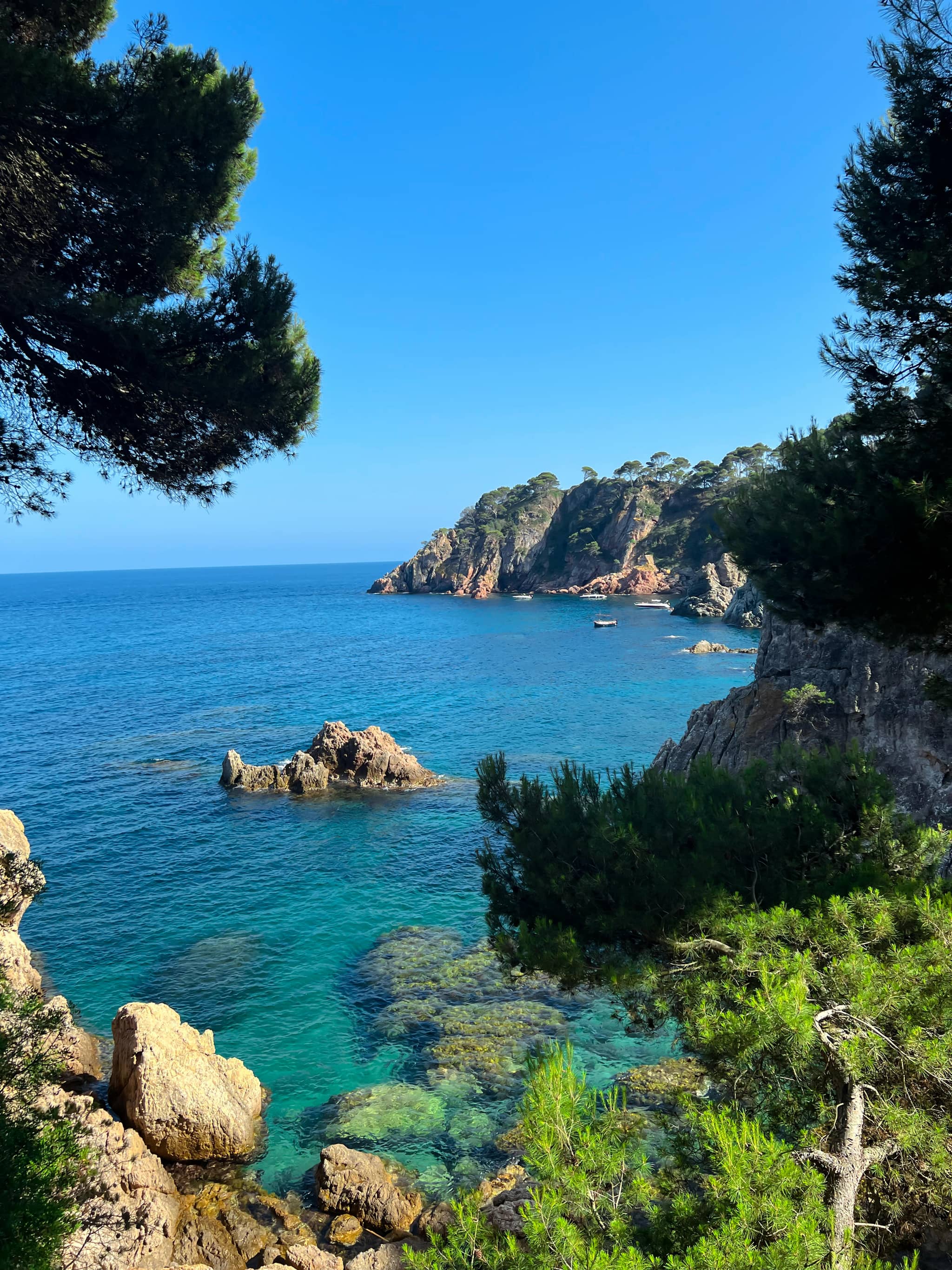 Water Views