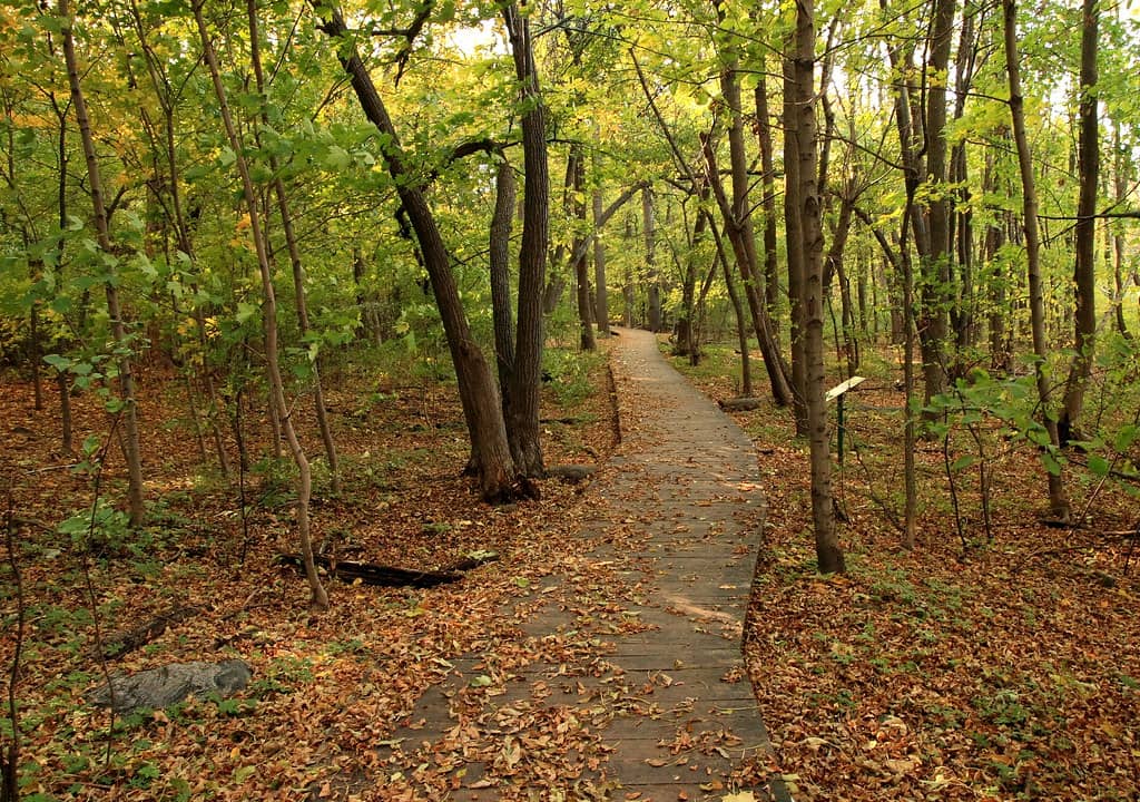 Nature Trails