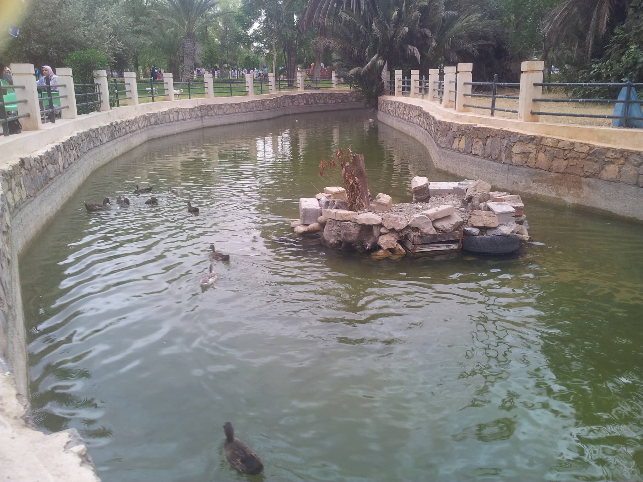 Tranquil Ponds