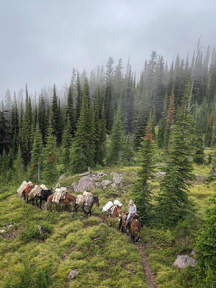Trail Rides