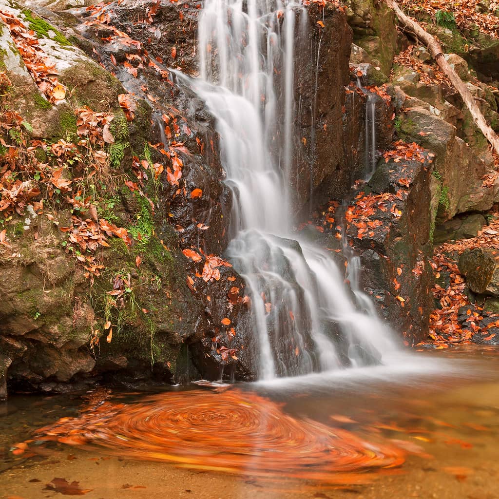 Fall Foliage Spectacle