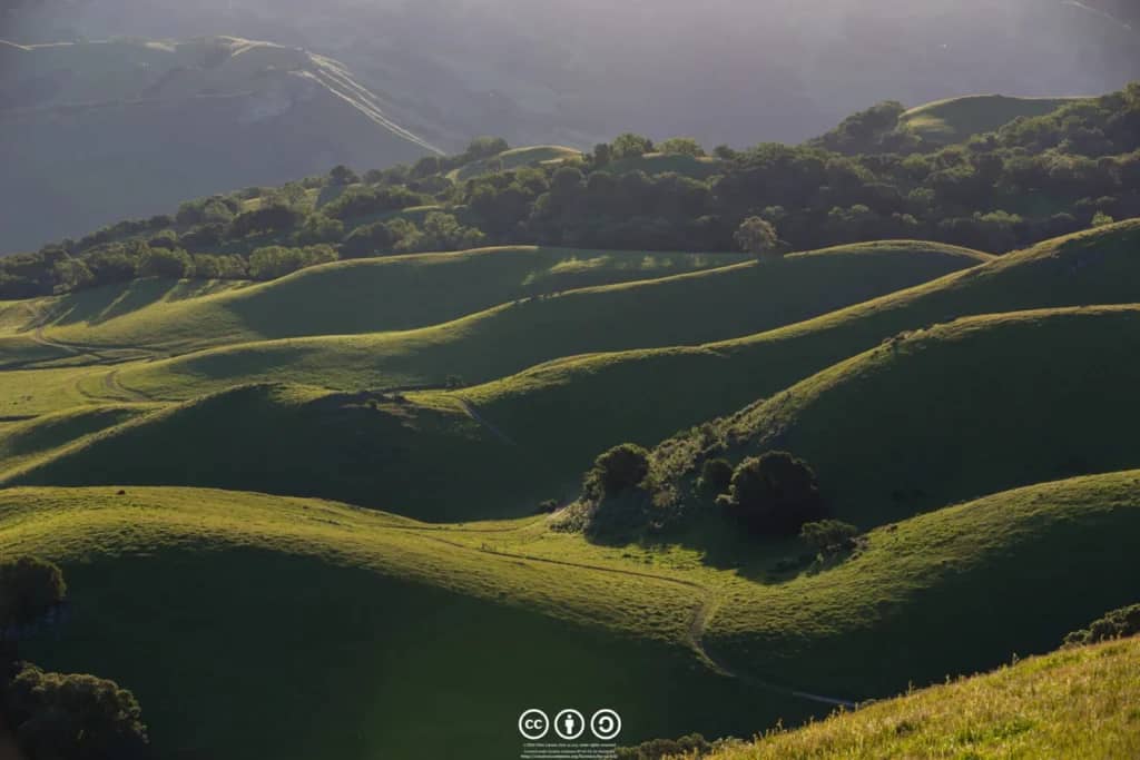 Conservation Trail Hike