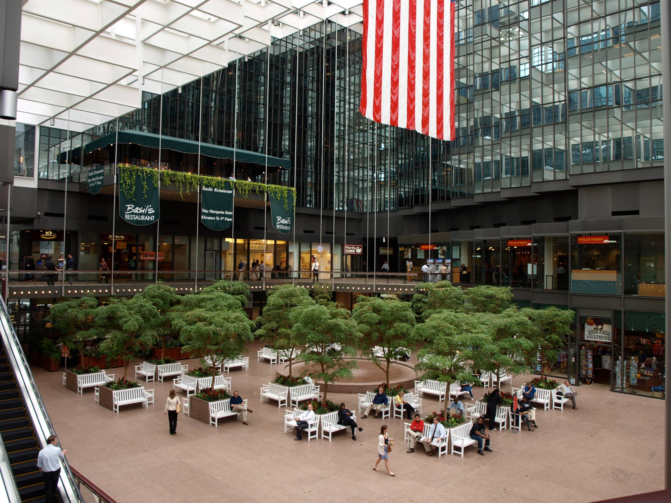 Architectural Skylight Views