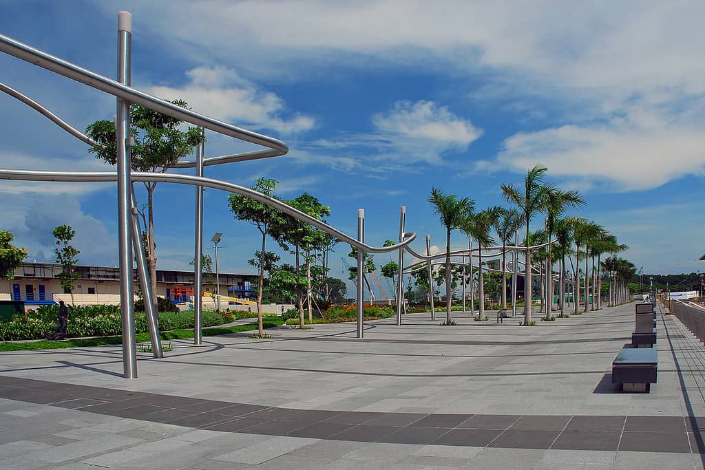 Shaded Lakeside Strolls