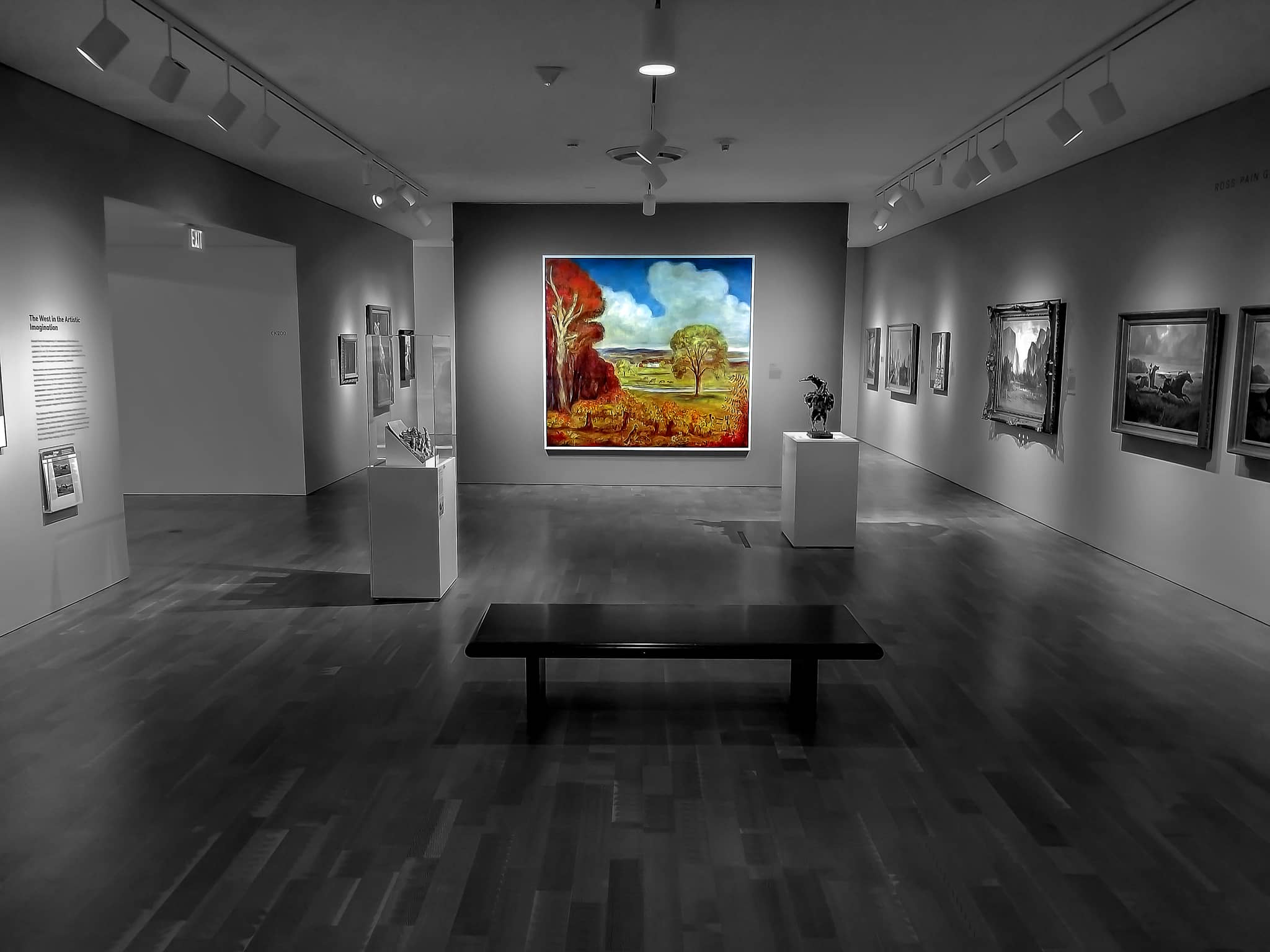 Contemporary Exhibitions