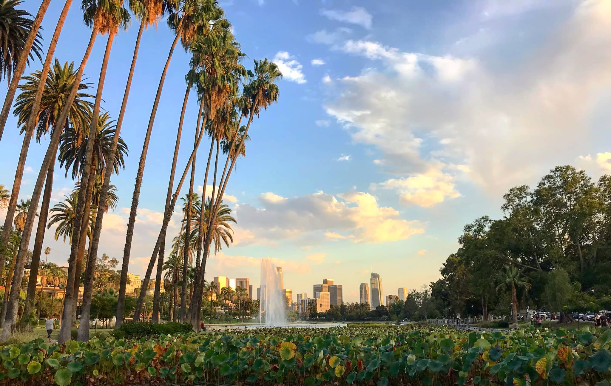 Lush Park Ambiance
