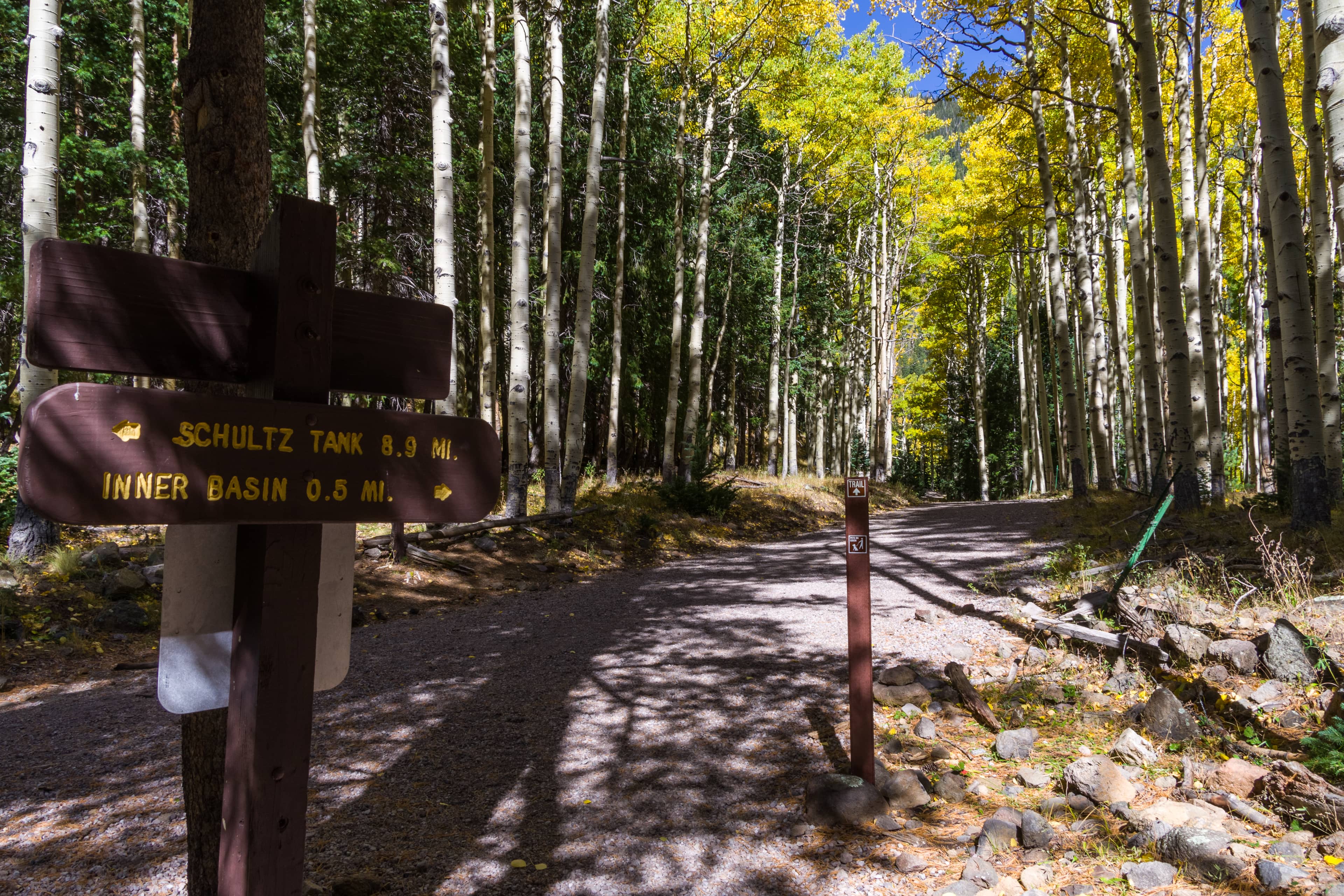 Wheelchair-Friendly Paths