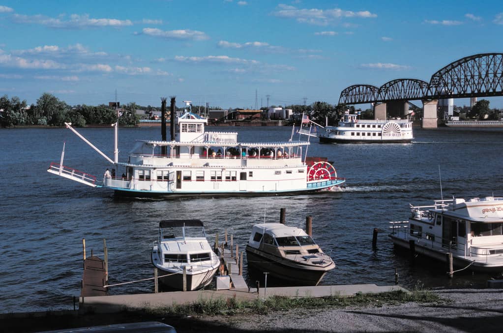 Themed Cruises (Princess, Barbie, Kids)