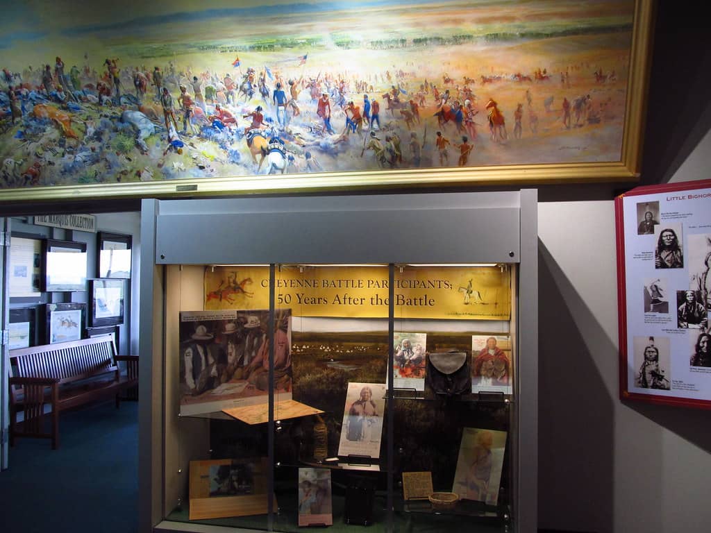 Educational Displays