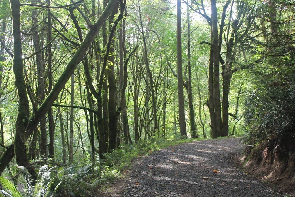 Kitsap Peninsula Nature