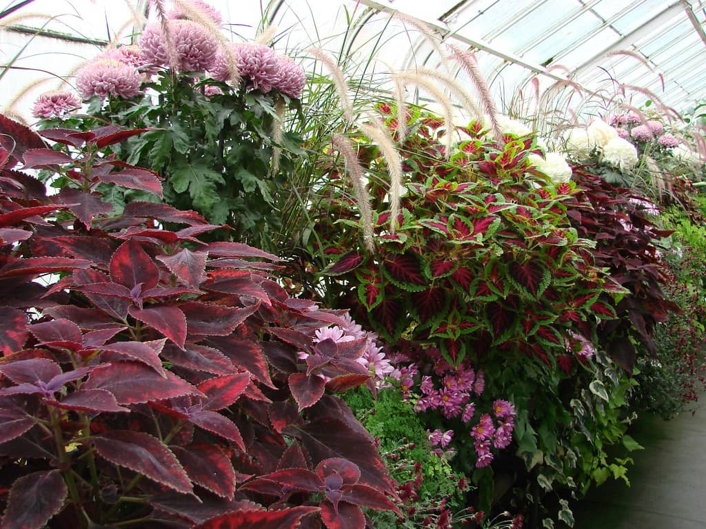 Seasonal Blooms