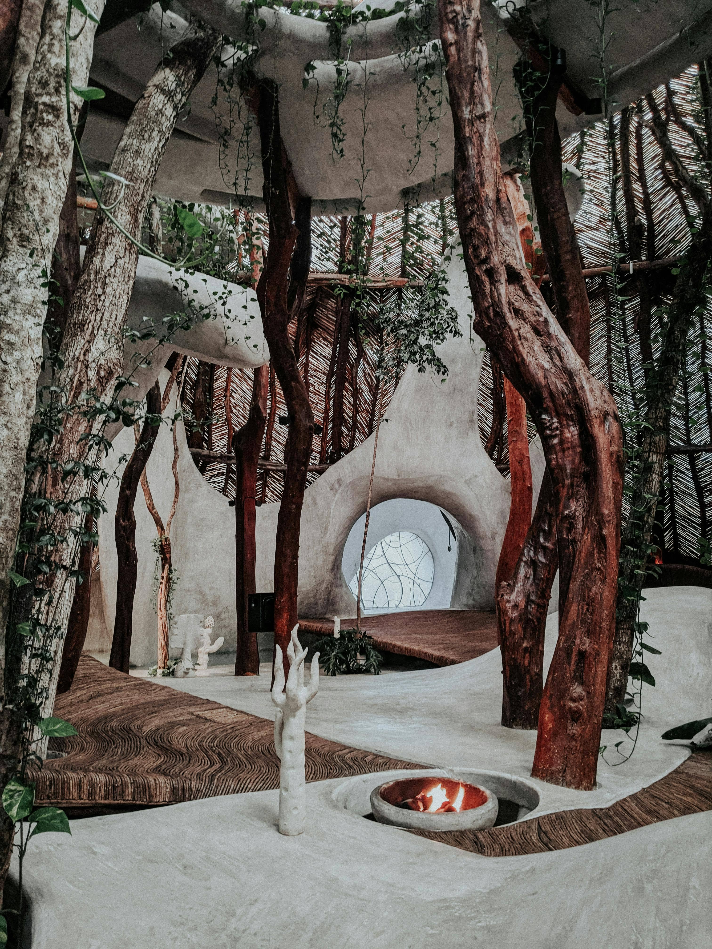 Phone-Friendly Photography