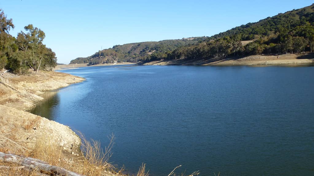 Full Reservoir Views