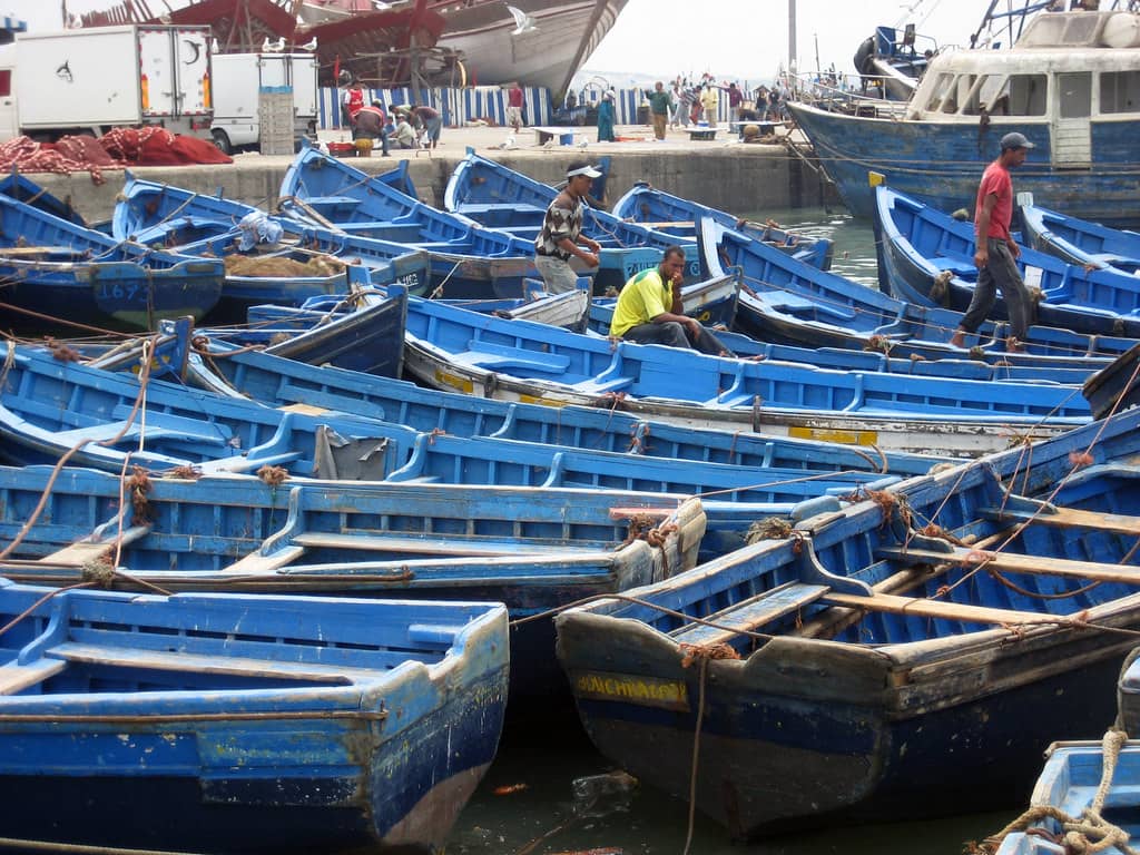 Port and Fishing Boats