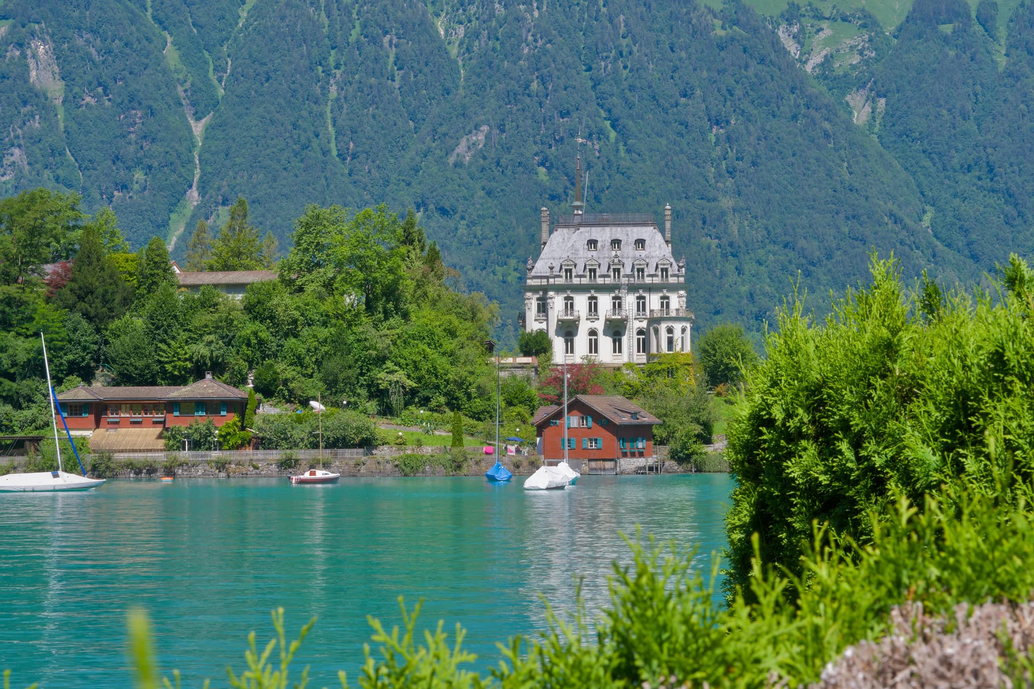 Lake Brienz Views