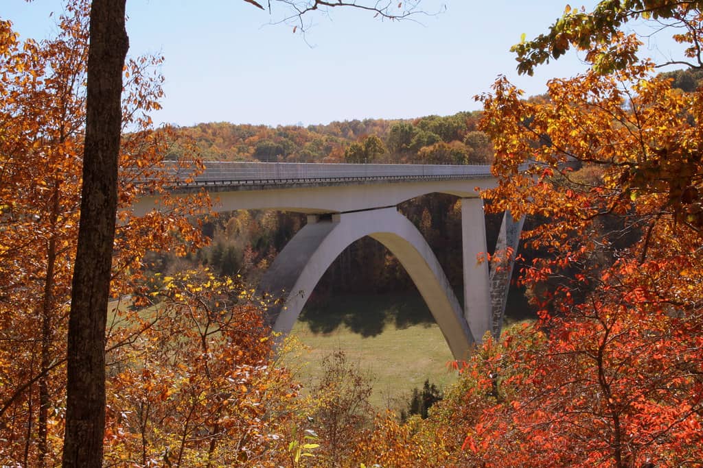 Fall Foliage Spectacle